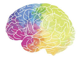 ۷ ماده مغذی که مغزت را شاد و آرام می‌کنند (و علم تأیید کرده!)